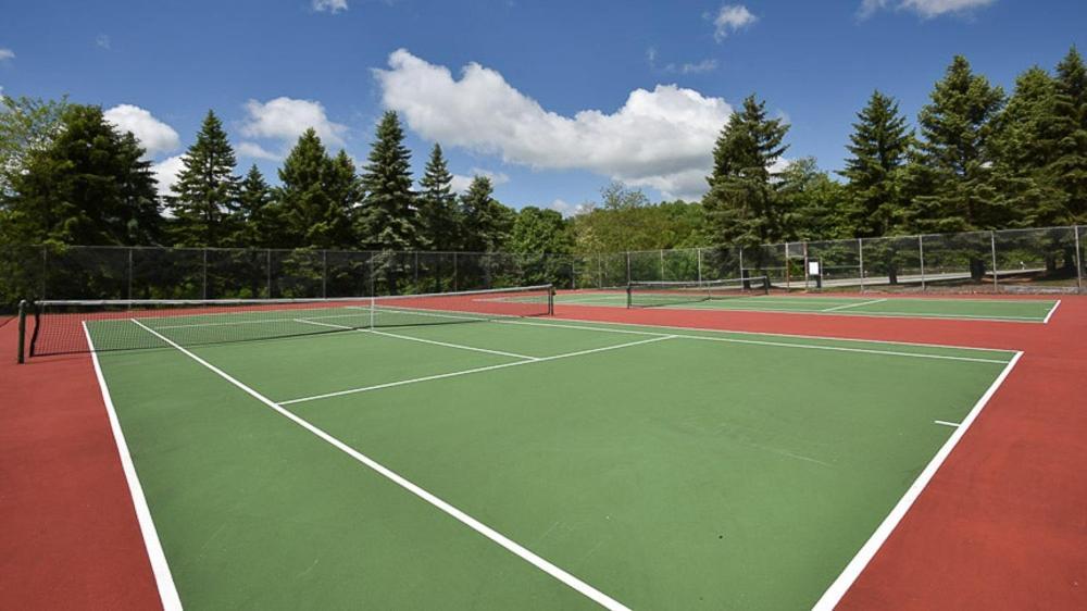 Apartment Seven Springs 1 Bedroom Premium Condo, In Out Champion